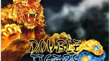 double-tigers-slot review