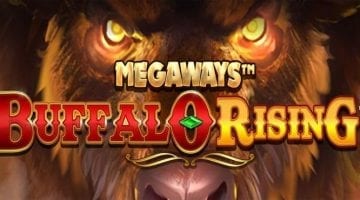 buffalo rising slot