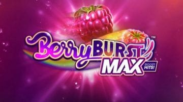 berryburst-max logo