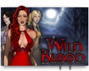 Best play n go slots top 10 wild blood