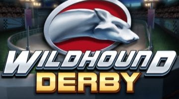 Wildhound-Derby-play n go