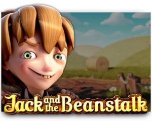 jack-and-the-beanstalk-slot-review-300x240