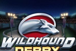 wildhound-derby-495x495-slot-review-playn-go-logo-300x300