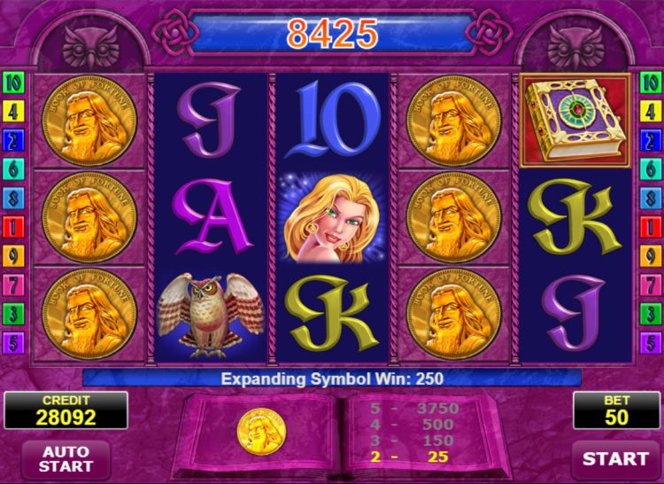 Book of fortune slot