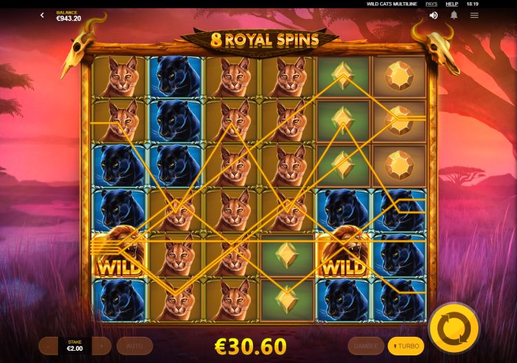 Wild cats multiline slot review red tiger