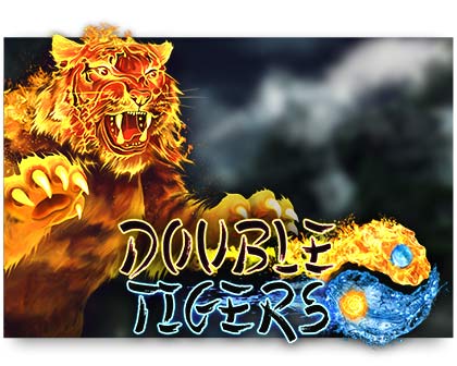 double-tigers-slot review