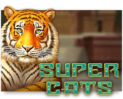 super-cats-amatic slot