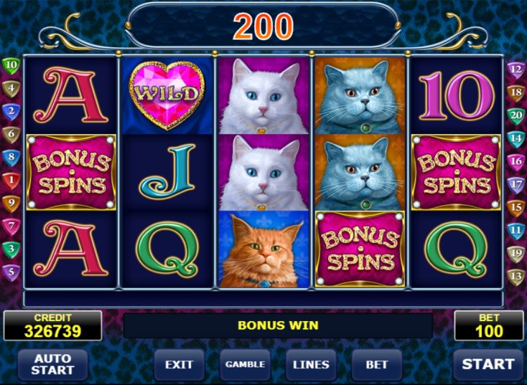 Diamond cats amatic bonus