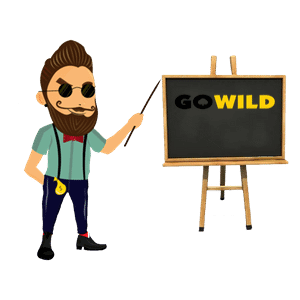 Go Wild Casino Bonus