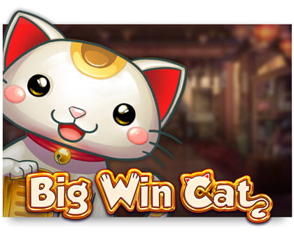 big-win-cat slot review