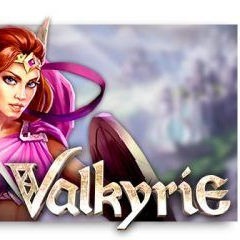 valkyrie-gokkast-elk-studios-300x240-1