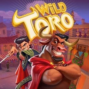 wild-toro-1-logo