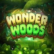 wonder woods logo
