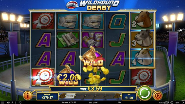 wildhound-derby-slot-review-playn-go-2