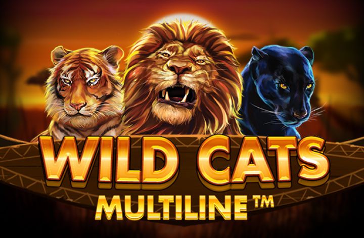 Wild cats multiline slot review red tiger gaming