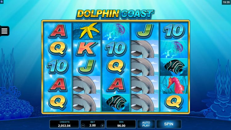 Dolphin Coast slot microgaming big win