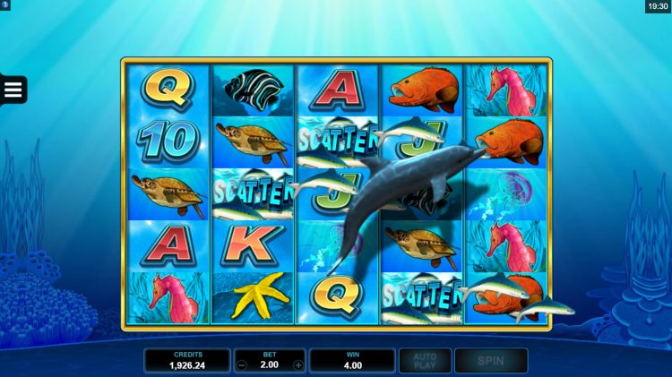 Dolphin Coast slot microgaming bonus trigger