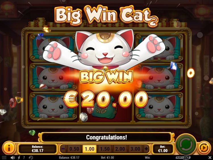 big-win-cat-play-n-go-big-win